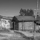 Tíos de la montaña