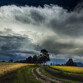 Andando el paisaje